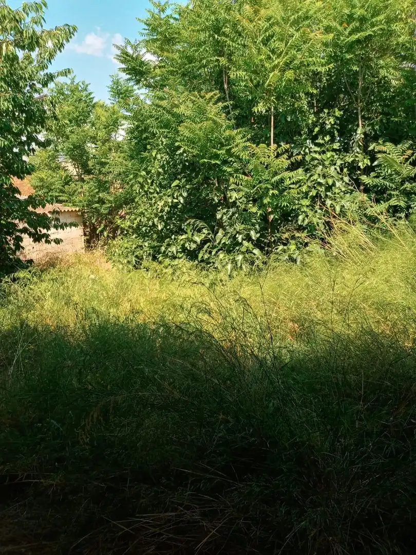 Casa o chalet en venta en Munera con Jardín privado y Amueblado