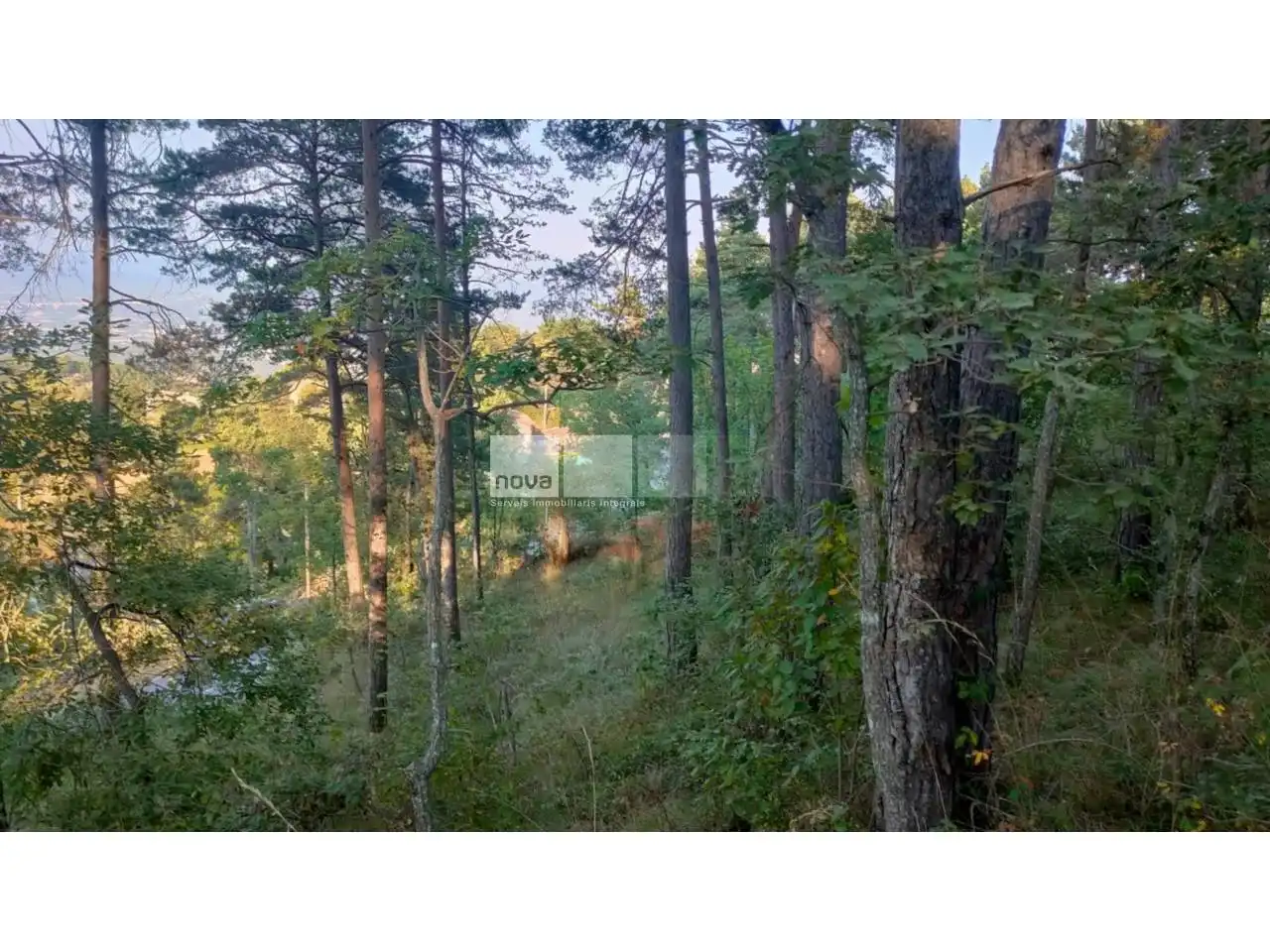 Wohnbaugrundstück zum Verkauf in Muntanyola, imagen 20