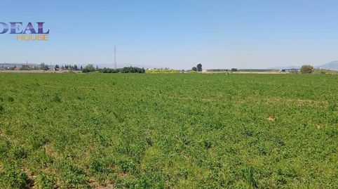 Foto 4 de Residencial en venta en Polígono Complejo Mercagranada, Angustias - Chana - Encina, Granada Capital