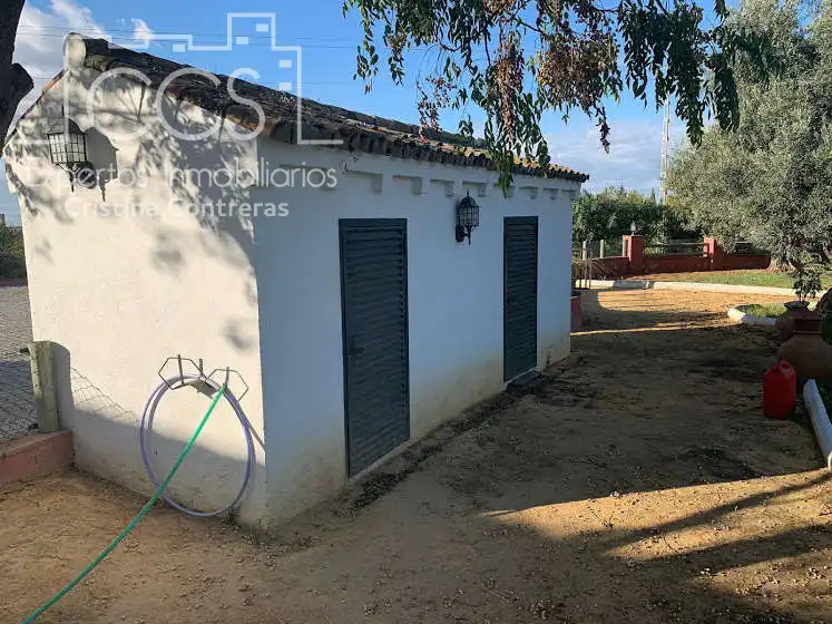 Vista exterior de Finca rústica en venta en Alcalá de Guadaira con Piscina y Amueblado
