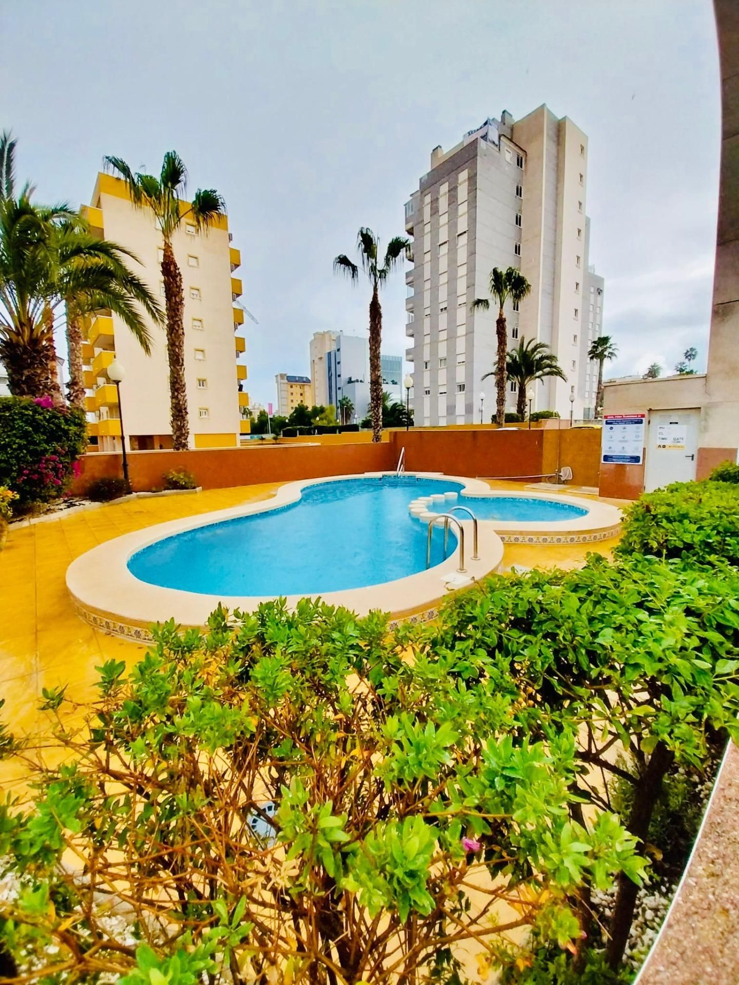Piscina de Planta baja de alquiler en Guardamar del Segura con Aire acondicionado, Jardín privado y Terraza