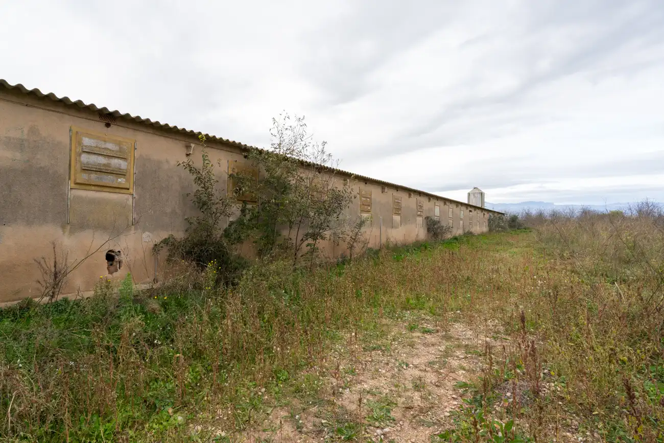 Rural land for sale in Ulldecona, imagen 21