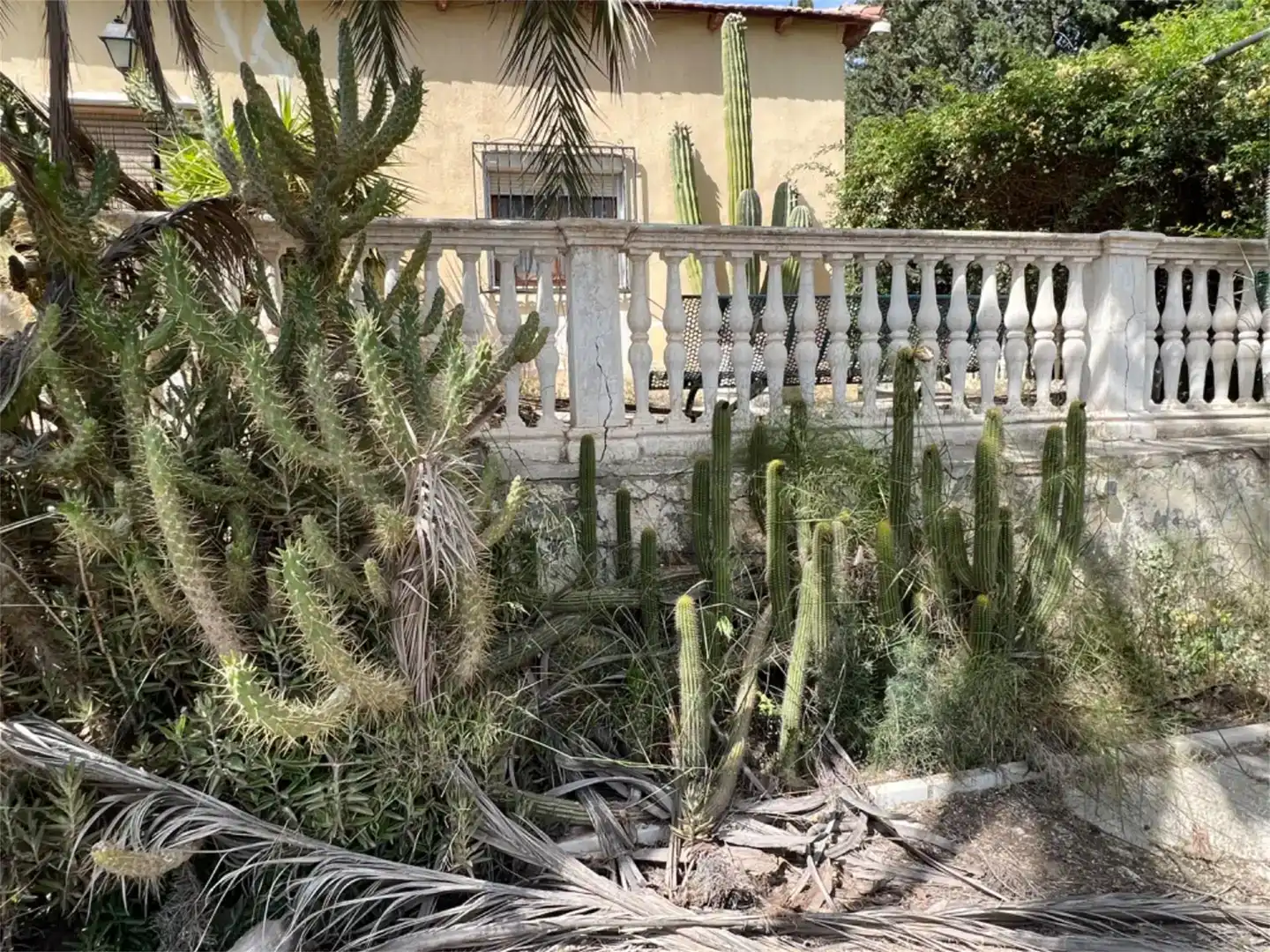 Jardí de Finca rústica en venda en Purchena amb Piscina