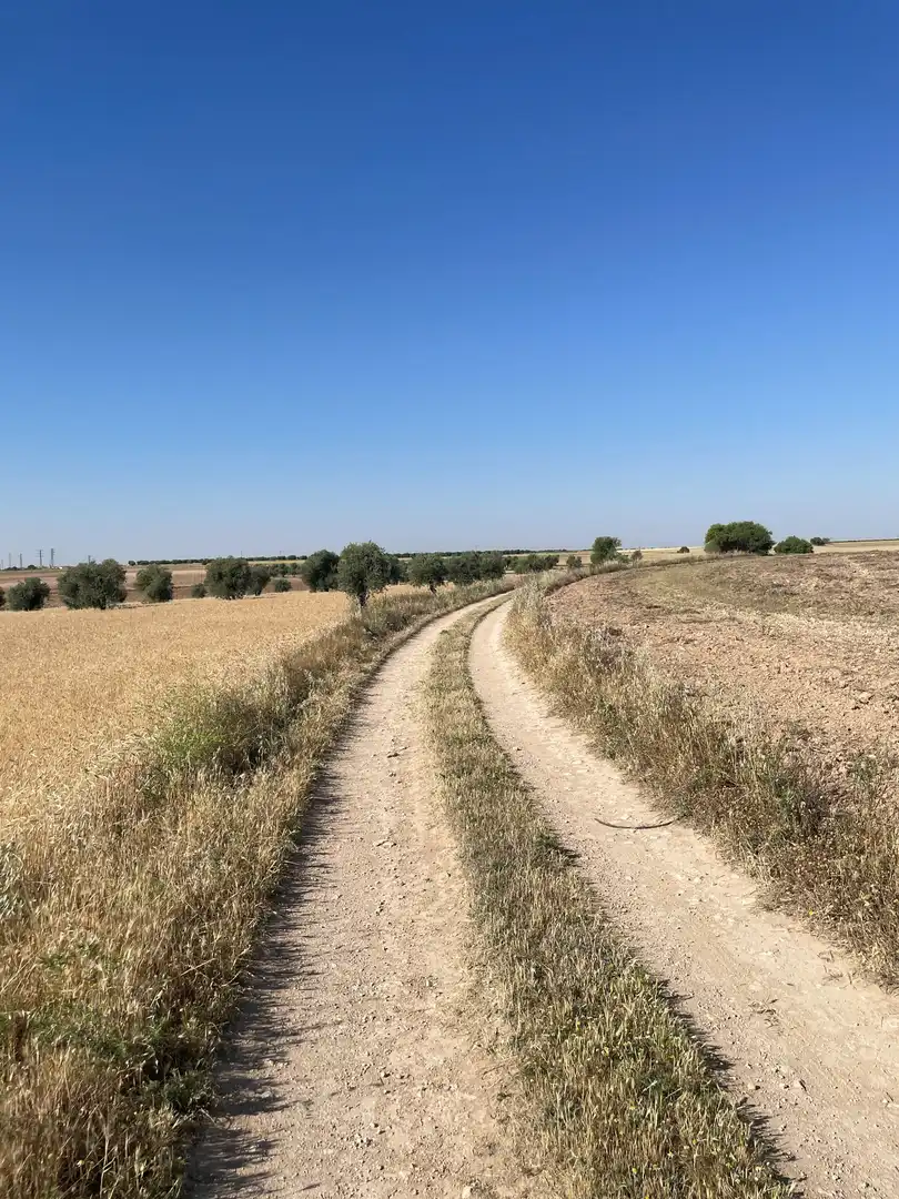 Terreno rustico in vendita a Ontígola, imagen 10