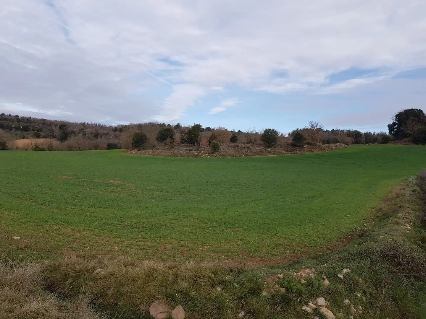 Land for sale in Moià