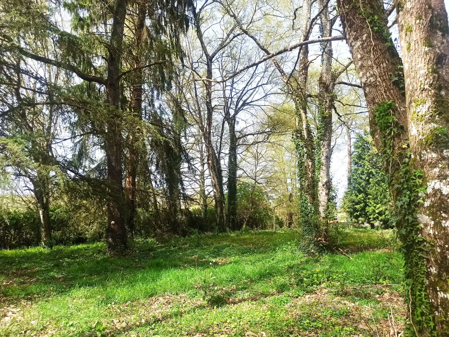Terreni e lotti in vendita a Parroquias del Este, imagen 22