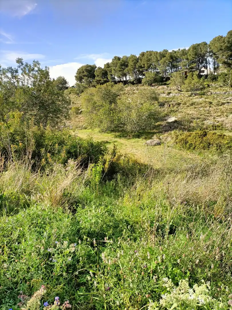 Residential land for sale in Carrer Dàlia, imagen 3