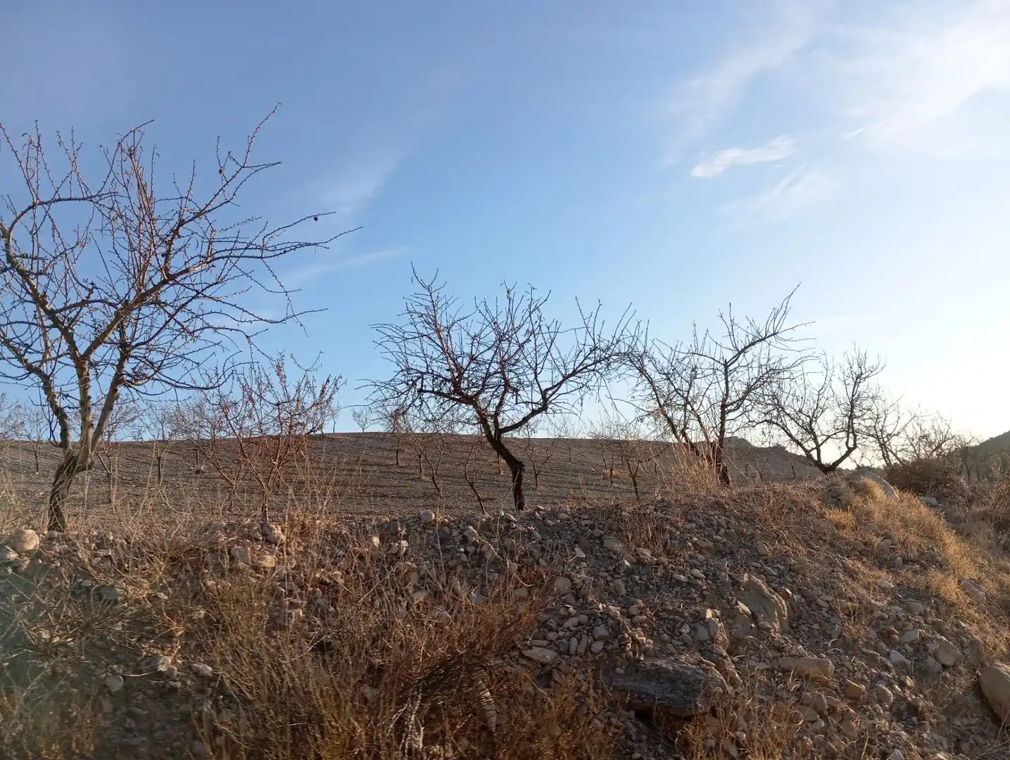 Houses for sale in Bejar