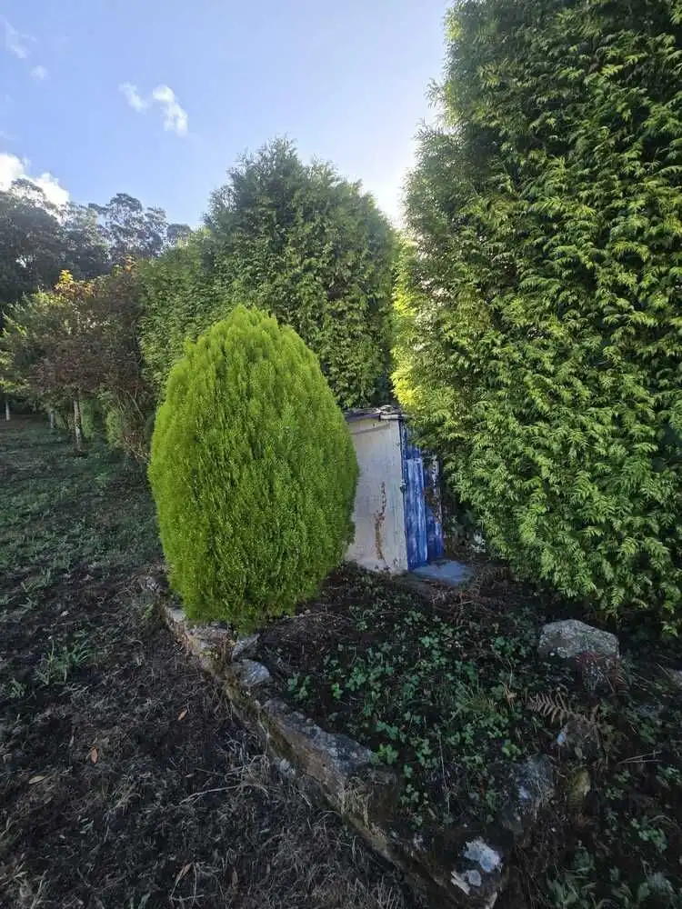Maison rustique avec jardin à vendre à Cedeira, imagen 13