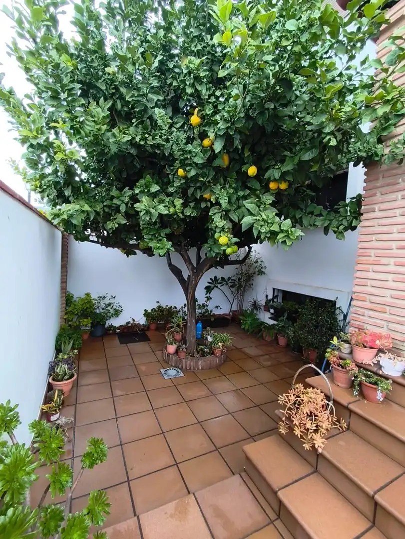 Xalet amb terrassa en venda a Los Pacos, imagen 3