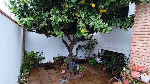 Foto 3 de Casa o chalet en venta en Los Pacos, Fuengirola