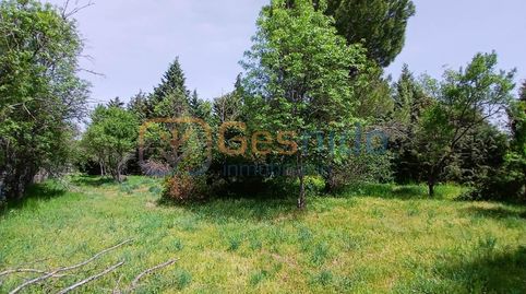 Foto 4 de Casa o xalet en venda a Sotosalbos, Segovia