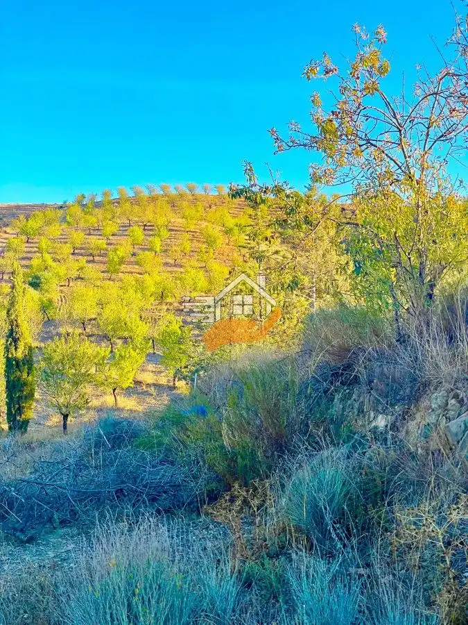 Country house for sale in Vélez-Rubio, imagen 9