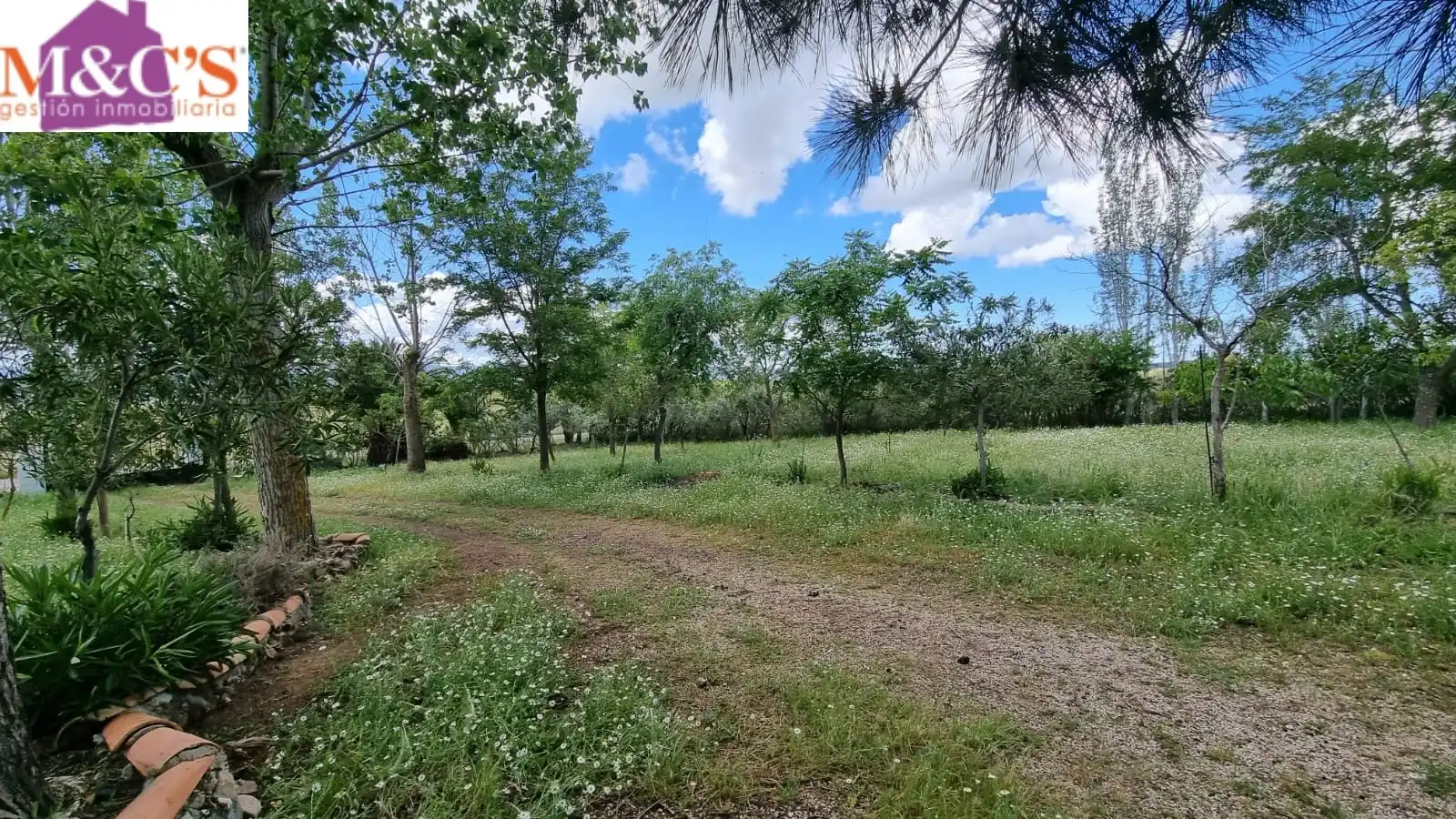 Xalet amb jardí en venda a Cabezarrubias del Puerto, imagen 2