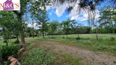 Foto 2 de Casa o xalet en venda a Cabezarrubias del Puerto, Ciudad Real