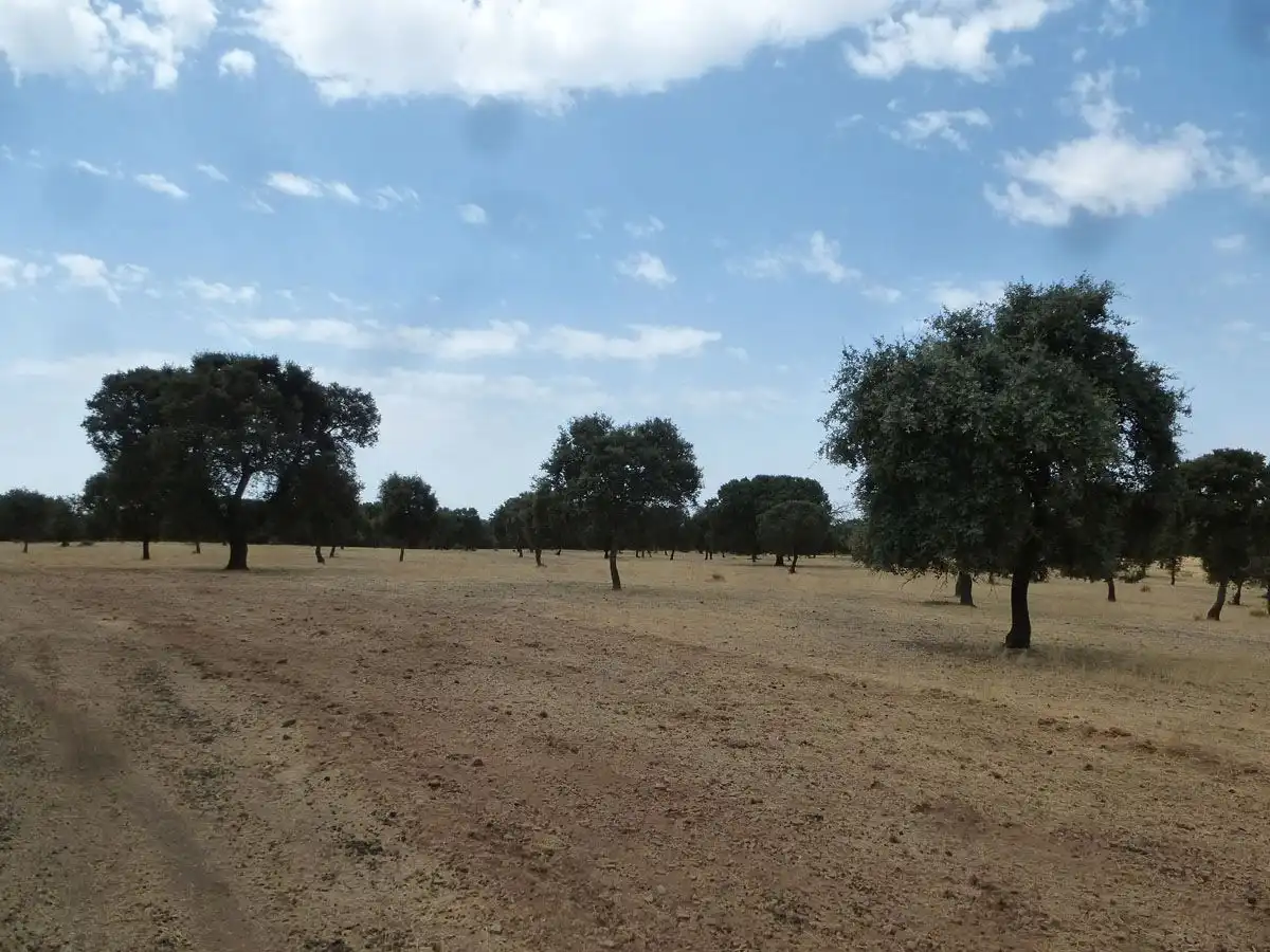 Terreni e lotti in vendita a Trujillo, imagen 5