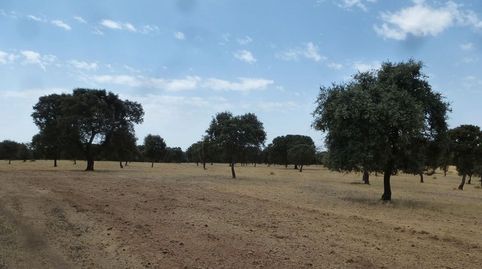 Photo 5 of Land for sale in Trujillo, Cáceres