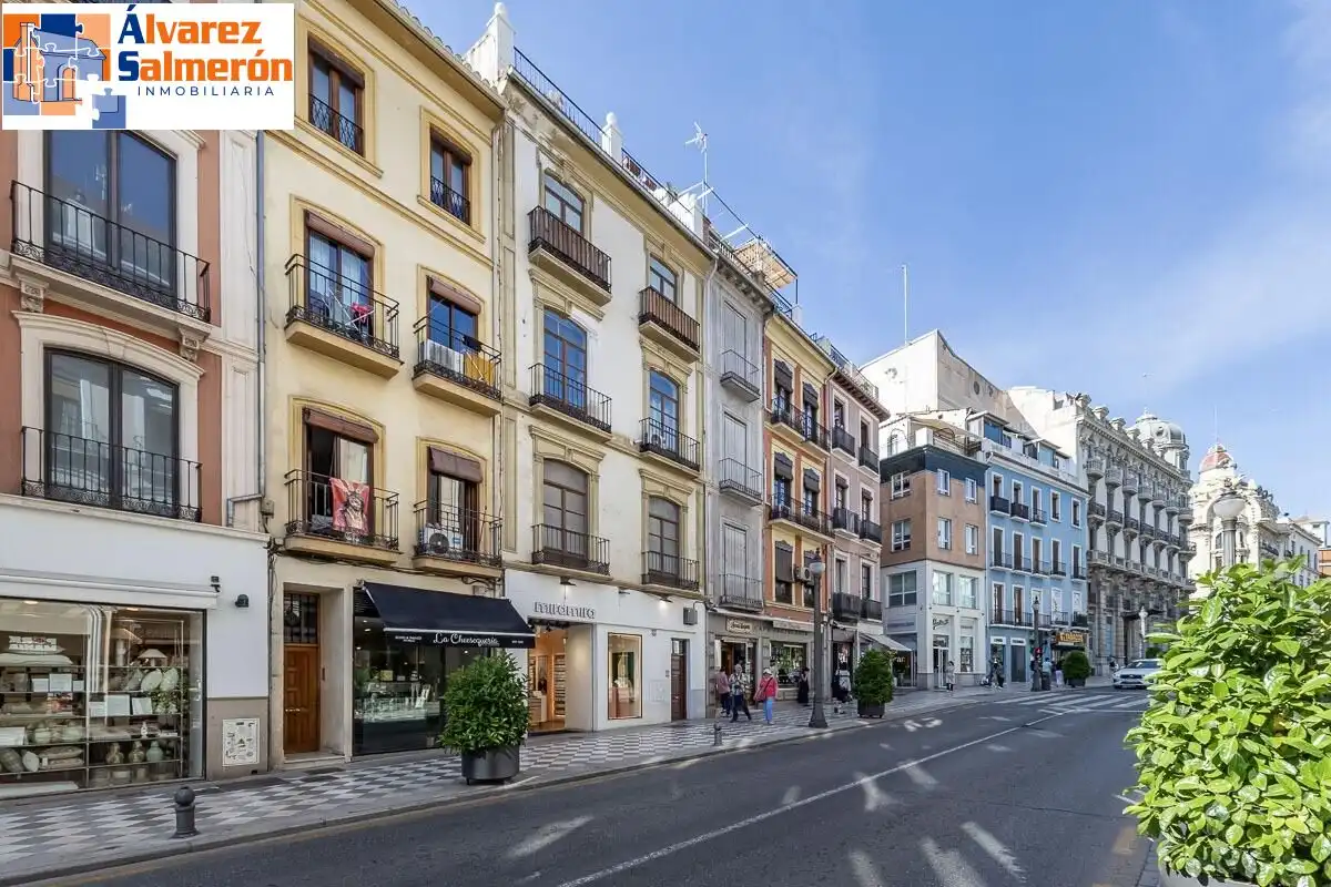 Wohnungen zur Miete in Calle REYES CATOLICOS, Centro - Sagrario , Centro, Granada Capital
