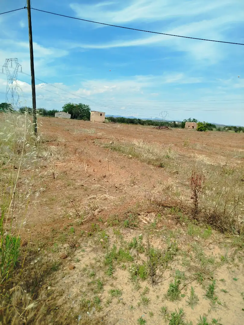 Land for sale in Vilallonga del Camp