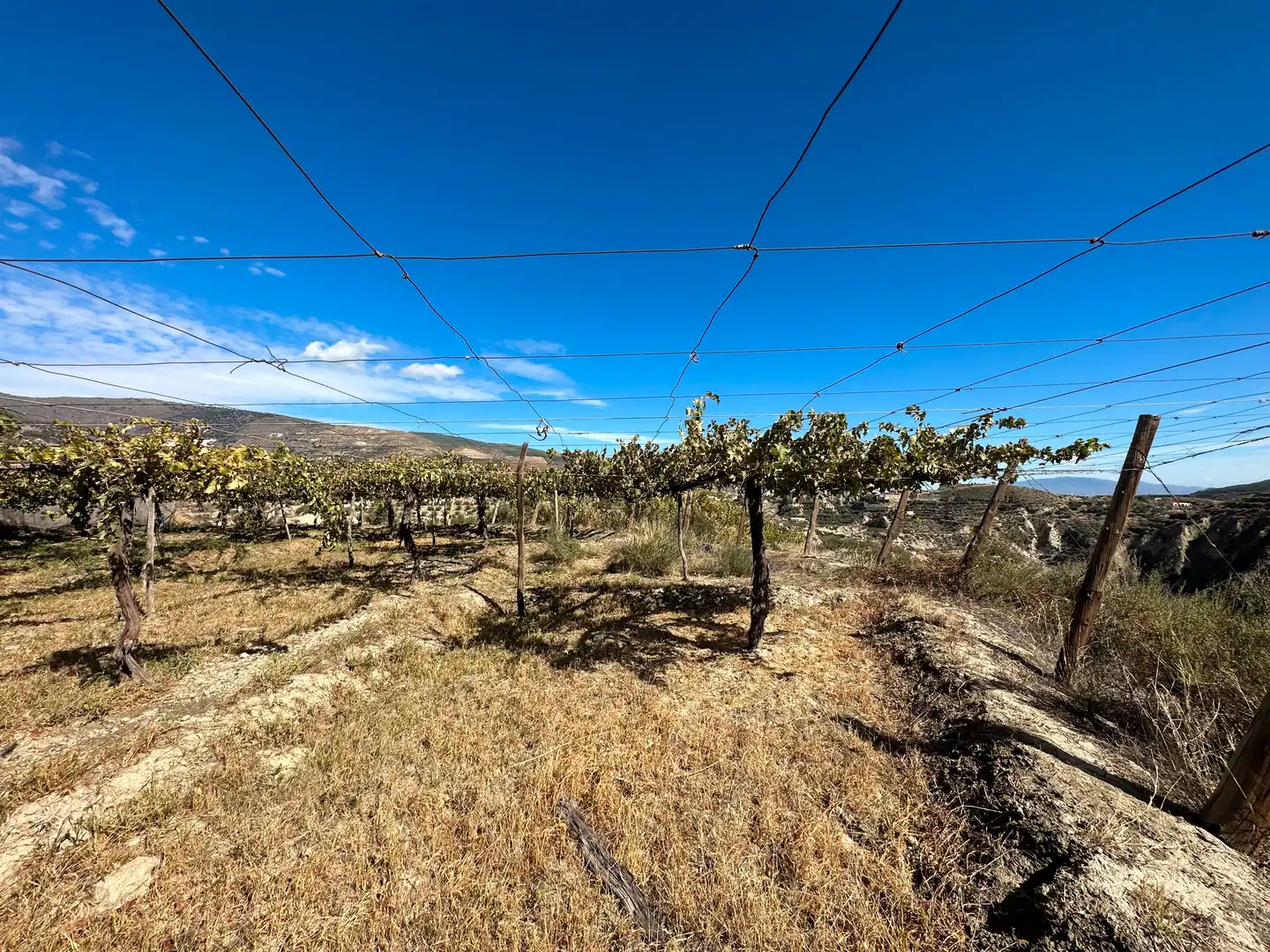 Finca rústica en venda en Canjáyar amb Jardí privat, Terrassa i Traster