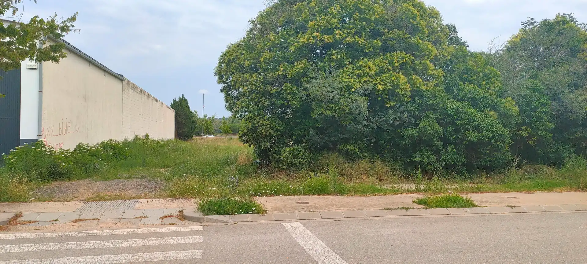 Terreny industrial en venda a Torroella de Montgrí