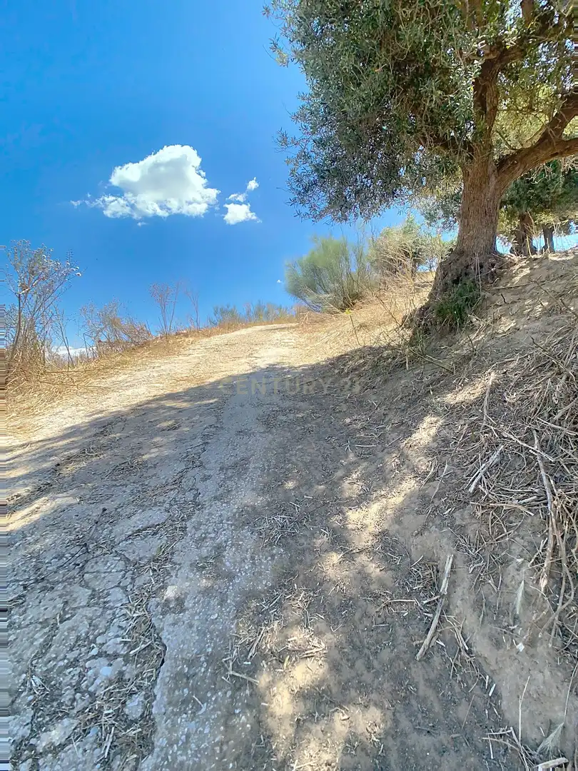 Terreni e lotti in vendita a Lugar el Quinto, 161, 29120 Alhaurín el Grande, Málaga, Spain, imagen 10