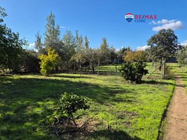 Haus mit Garten zum Verkauf in Avenida Elvas