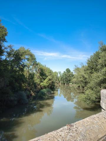 Nave industrial en Venta en Castrillo Matajudíos