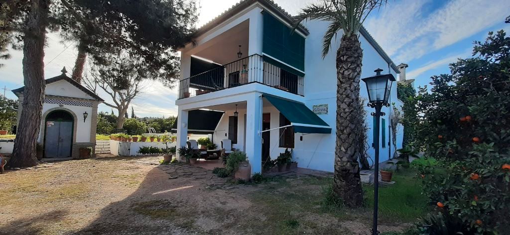 Vista exterior de Casa o chalet en venta en Alzira con Aire acondicionado, Jardín privado y Terraza