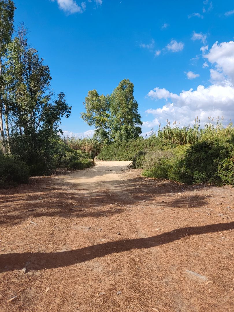 Land for sale in Las Lagunas - Campano