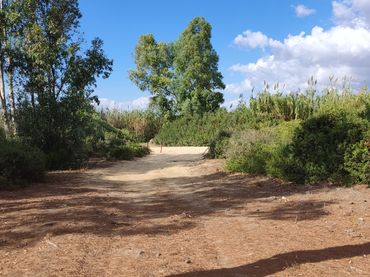Terrain rustique à vendre à Las Lagunas - Campano