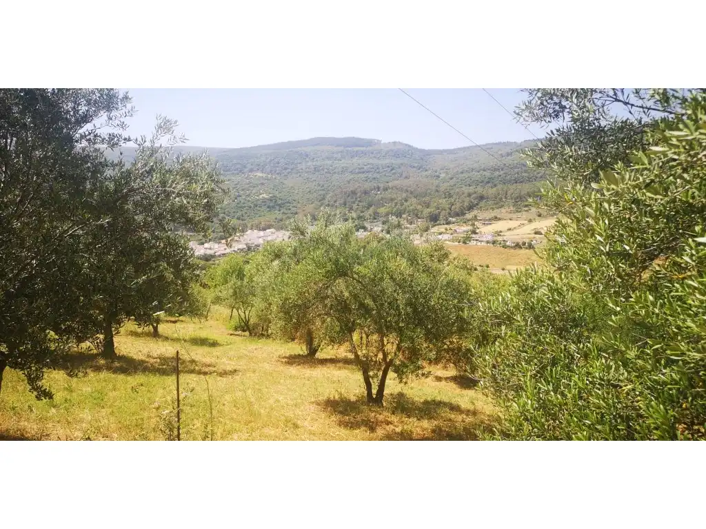 Casa rústica en venda a Gaucín, imagen 36
