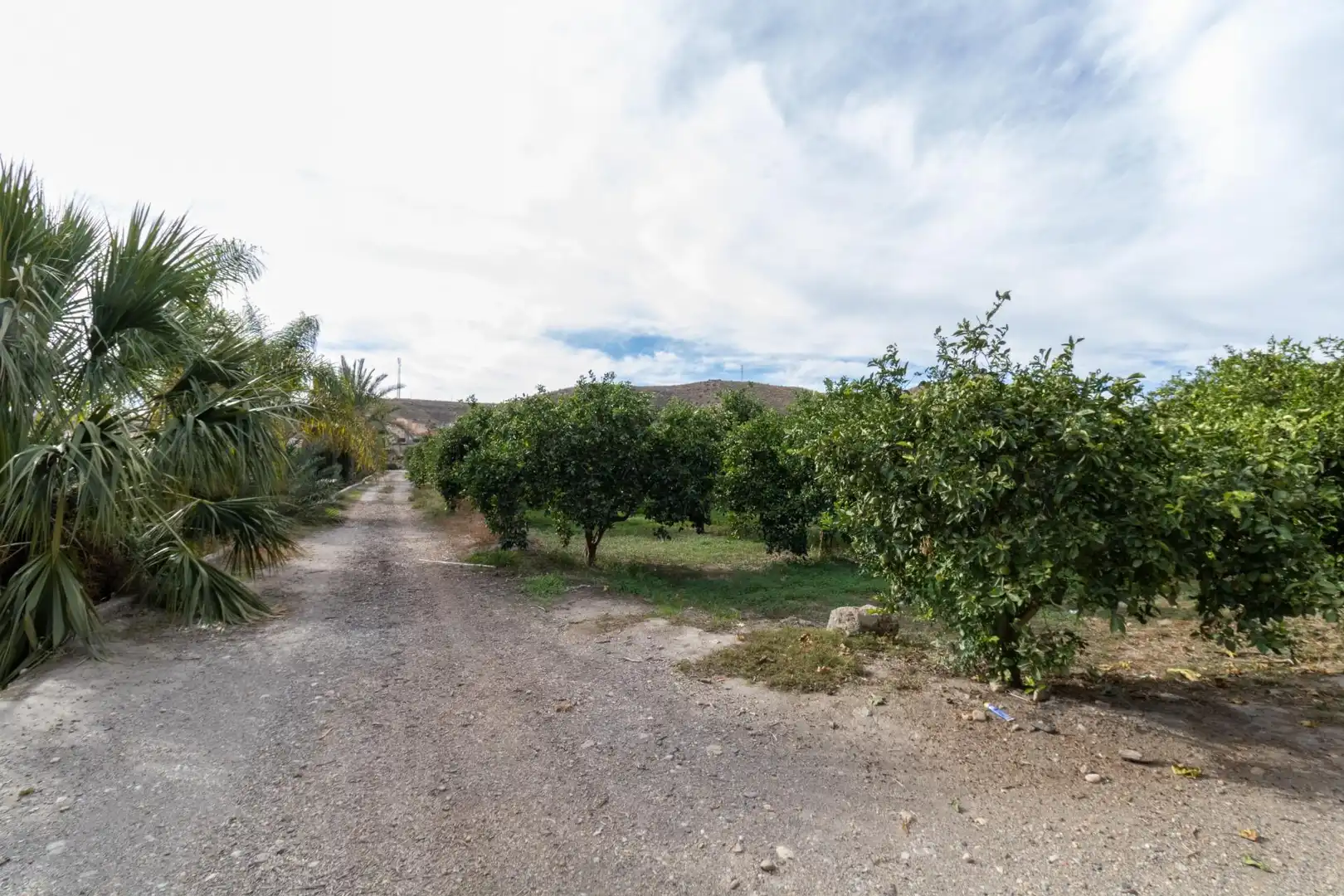 Land for sale in Santa Fe de Mondújar
