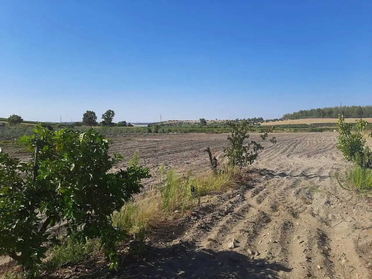 Casa o chalet en venta en Calamonte