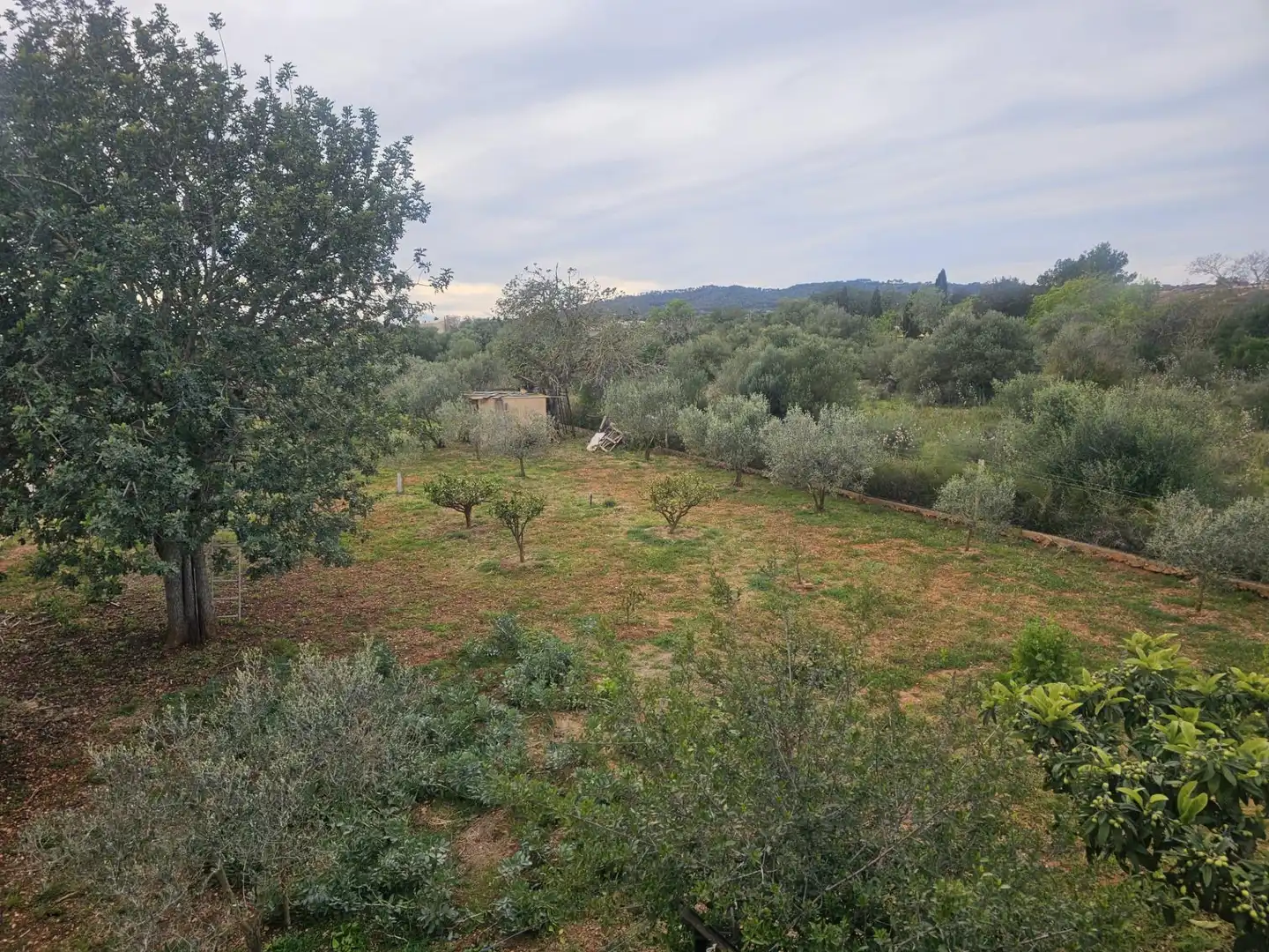 Maison rustique avec piscine à vendre à Llucmajor pueblo, imagen 52