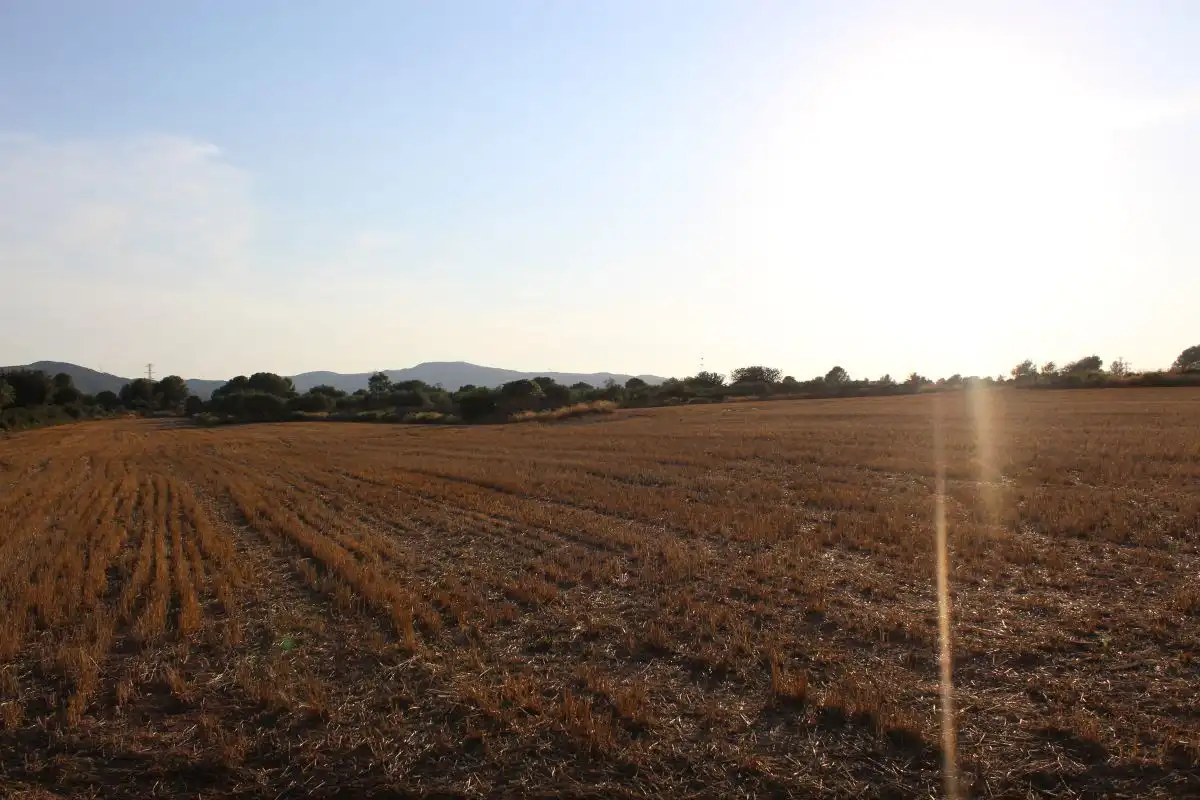 Terreno rústico en venta en Banyeres del Penedès, imagen 6