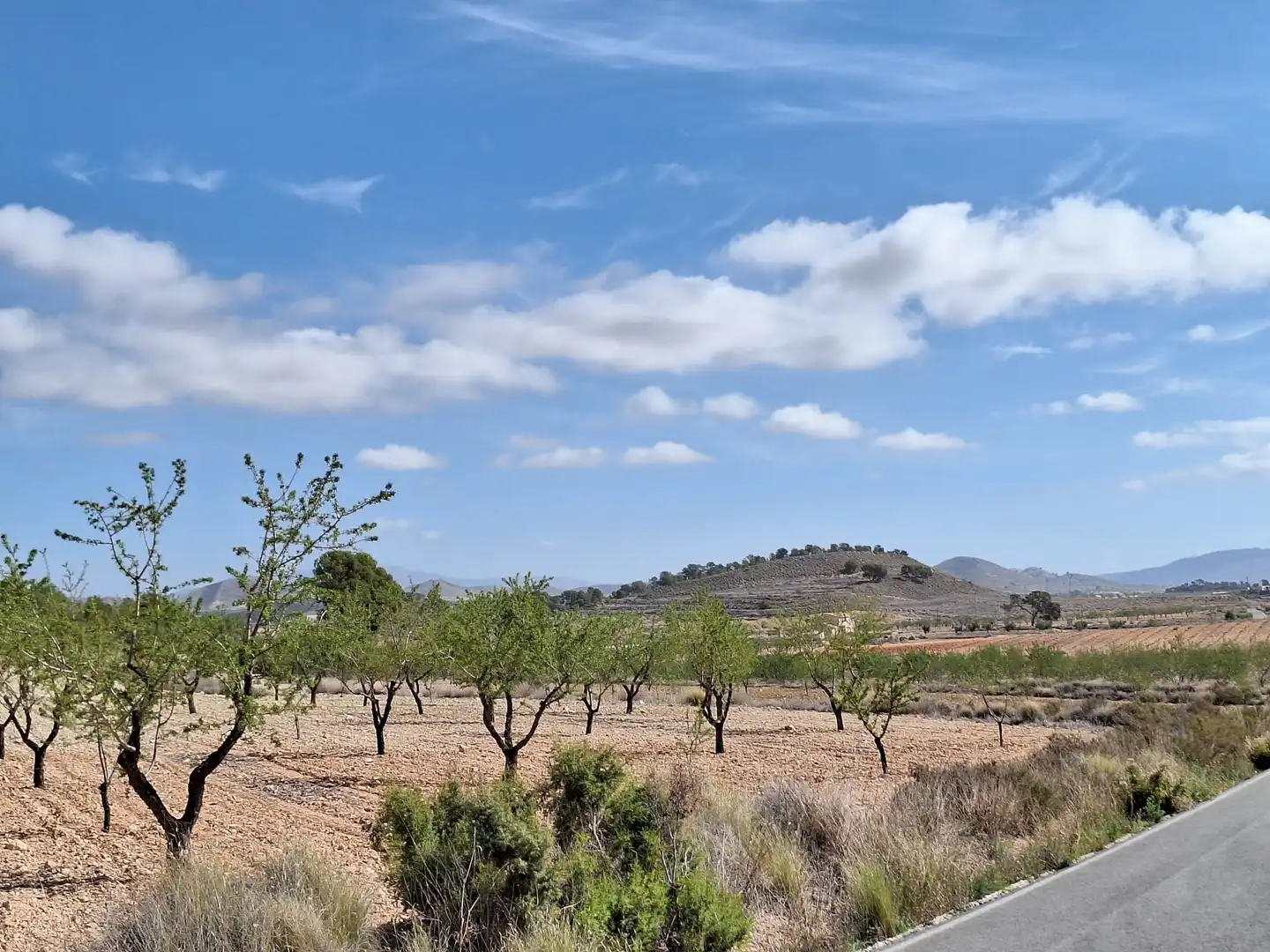 Terreny residencial en venda a Jumilla, imagen 2