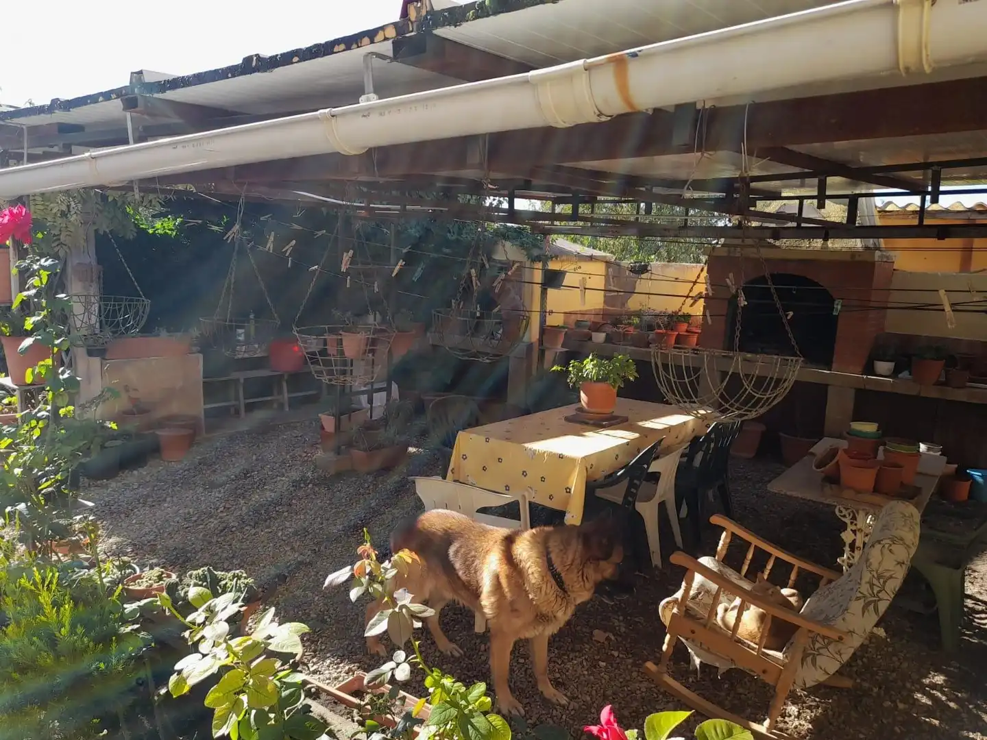 Jardí de Casa o xalet en venda en Flix amb Jardí privat, Terrassa i Traster