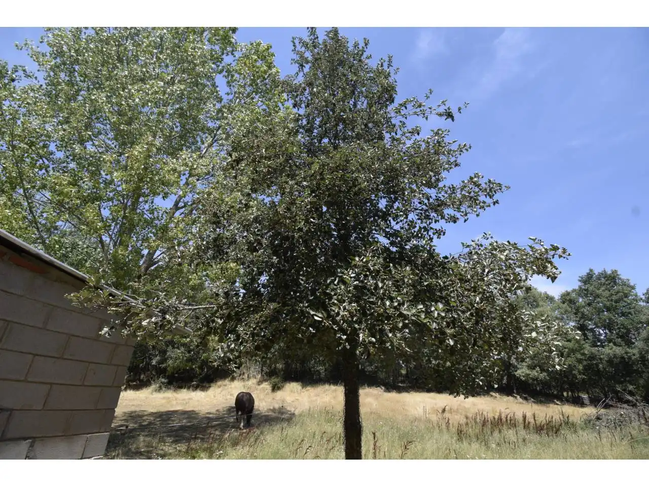 Finca rústica en venda a Valdefresno