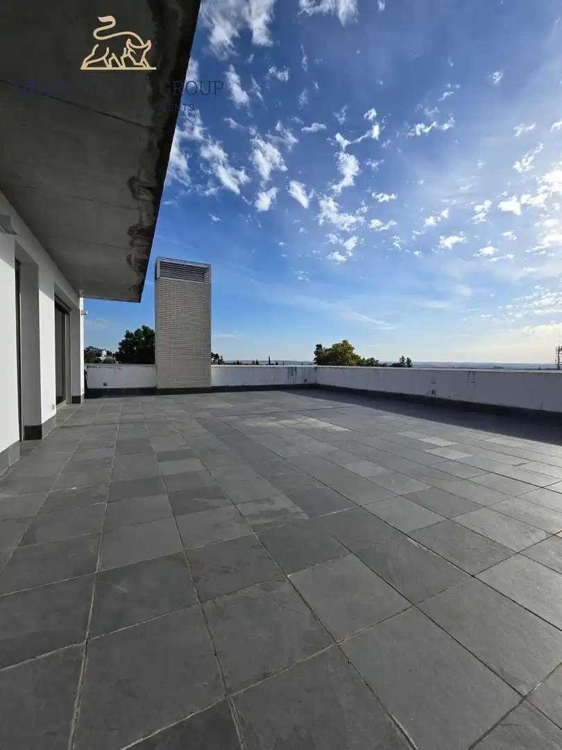 Villa con terrazza in vendita a Norte-Sierra, imagen 73