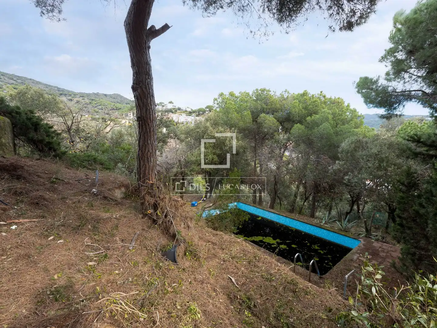 Rural land for sale in Alella, imagen 13