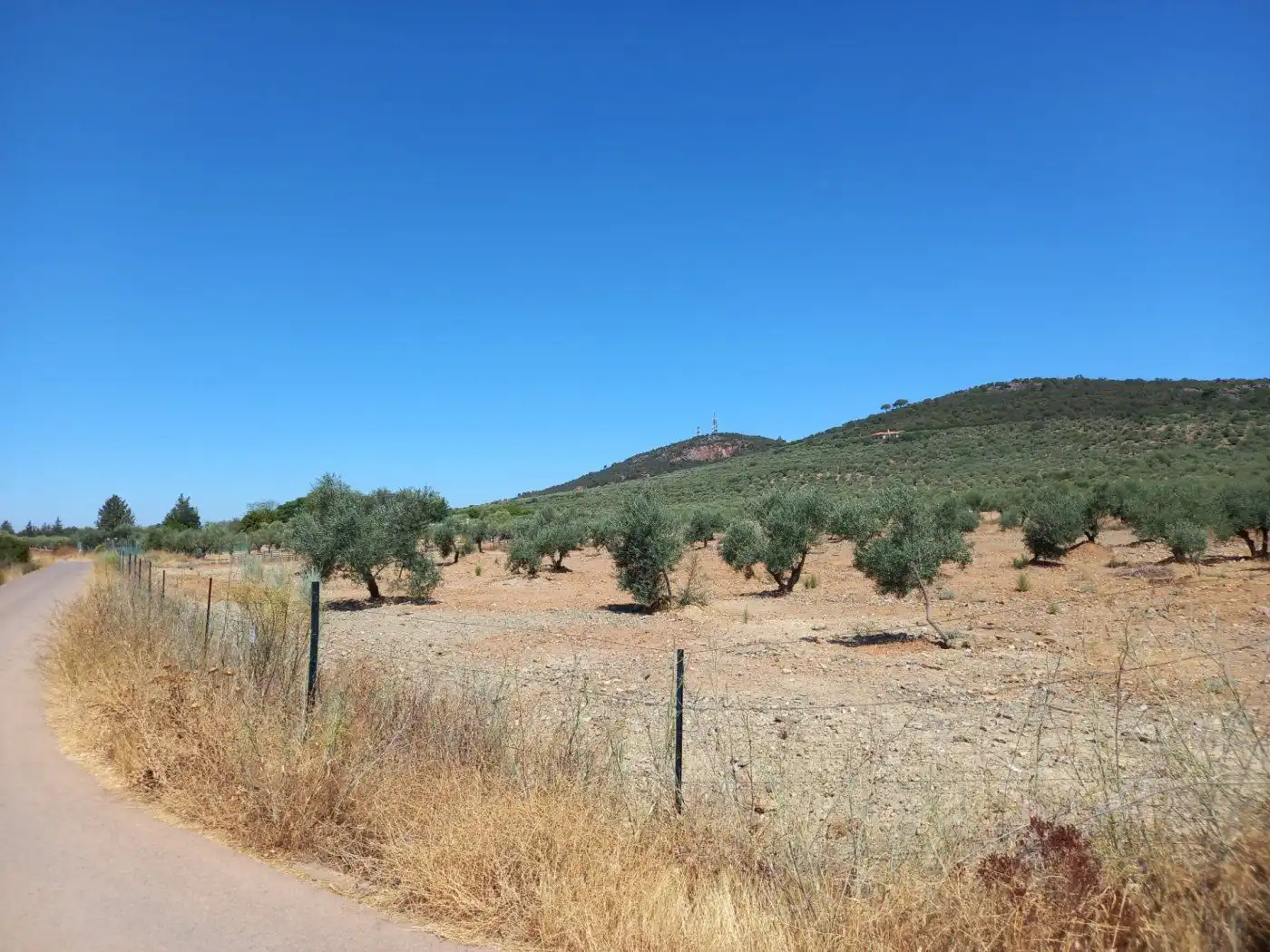 Finca rústica en venda en Cáceres