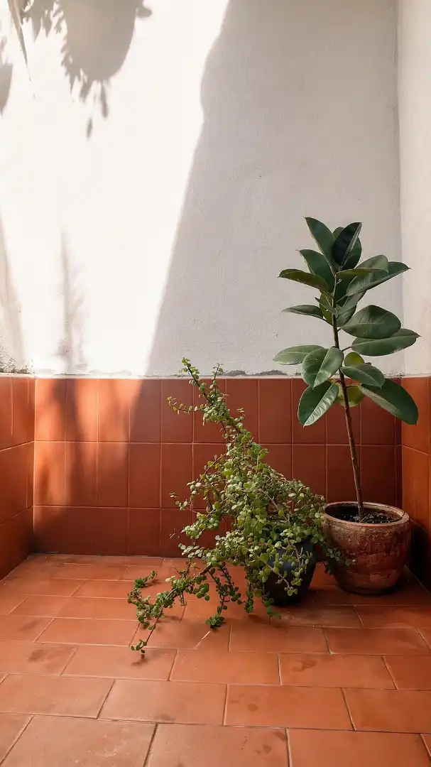 Terrassa de Planta baixa en venda en Barcelona amb Aire condicionat, Forn i Microones