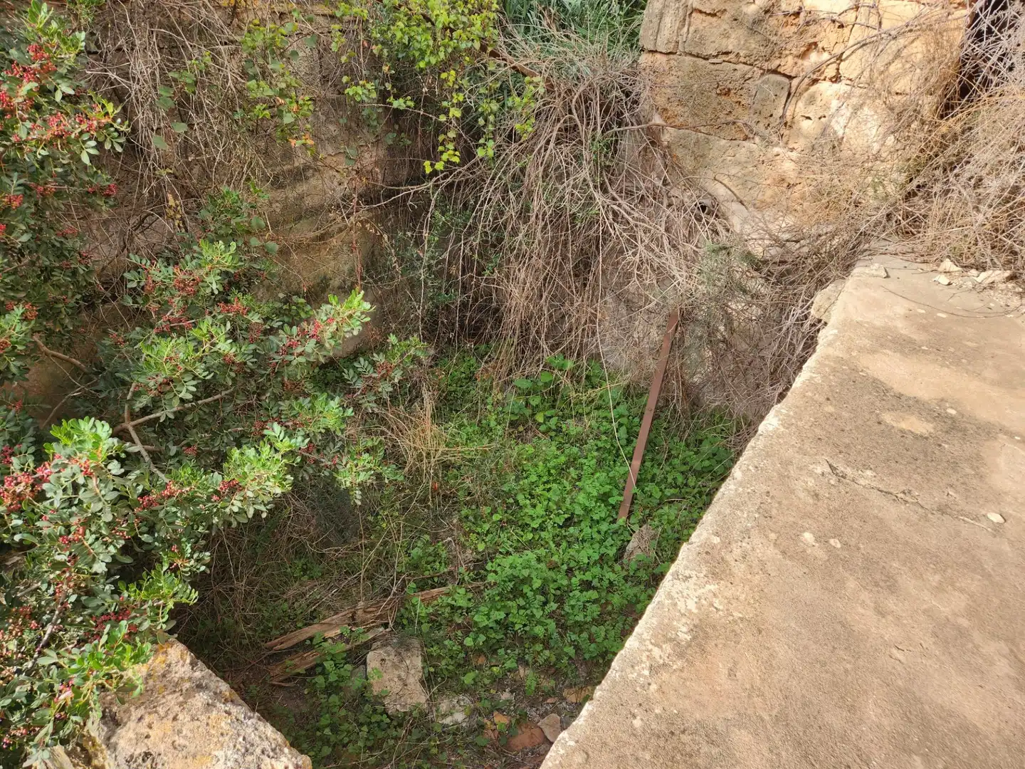 Maison rustique avec jardin à vendre à Muro, imagen 20