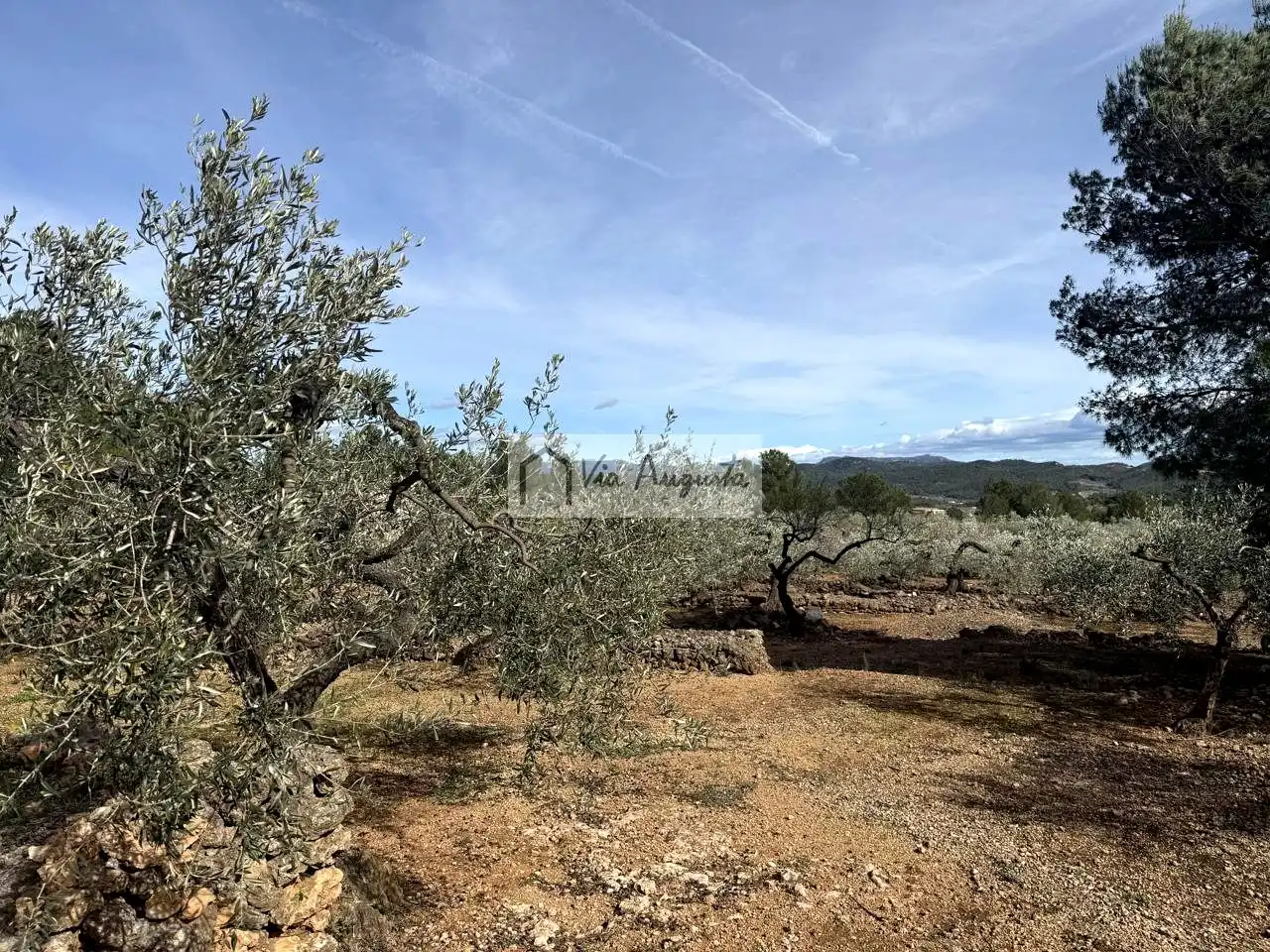 Finca rústica en venda en El Perelló