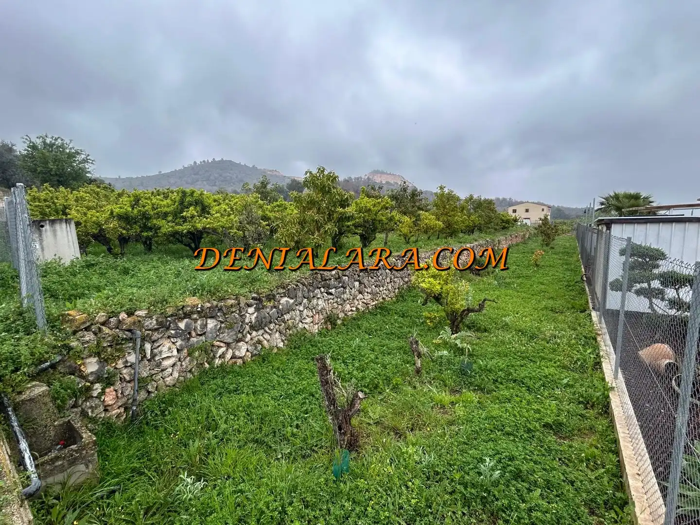 Rural land for sale in Pego, imagen 4