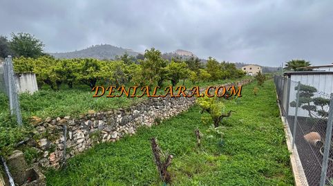 Terreno rustico de 1000m en Pego, imatge 4