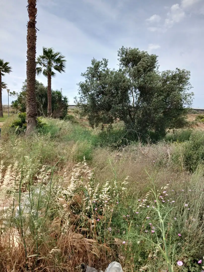 Terreno industrial en venta en El Ejido