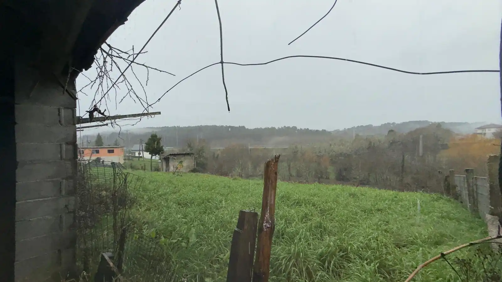 Casa o xalet en venda en Celanova amb Jardí privat