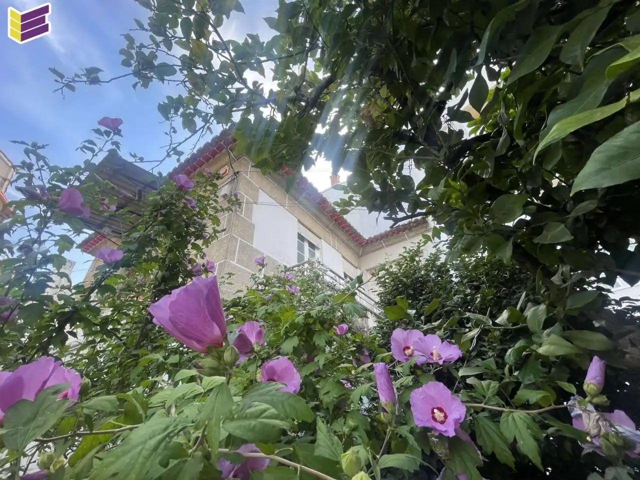 Vista exterior de Casa o xalet en venda en Vigo  amb Calefacció, Jardí privat i Terrassa